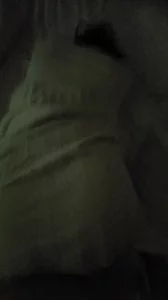 暴力打桩大二母狗 光听叫声就想射